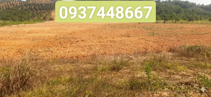 🌳 Quỹ đất đẹp mặt tiền ĐT725 – Đạ Tẻh 3