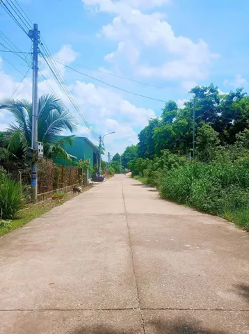 Bán gấp lô đất ngộp chủ kẹt sang tên công chứng 1 nốt nhạc 424m2 có 100m2 thổ cư ở An Long TpHCM mới