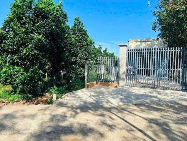Chính chủ mở bán lô vườn mít 213m2 có 100m2 thổ cư vị trí đẹp ở xã An Long TpHCM mới