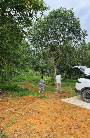 Lô đất nghỉ dưỡng Ba Vì, cách trung tâm Hà Nội chỉ 60km