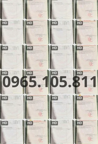 Sỉ 60 nền Xuyên Tâm Tân Hưng Tân Lập 32m, sổ sẵn, các Tuyến 2 đúng 500m