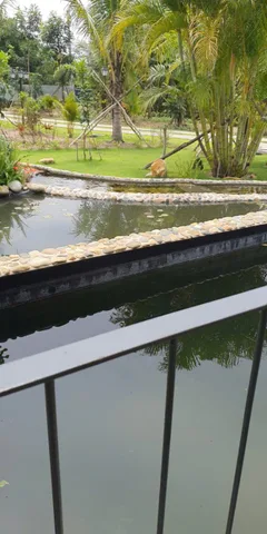 🌿 SIÊU PHẨM ĐẤT VƯỜN SINH THÁI CÙ LAO LONG PHƯỚC 🌿
🌊 VIEW SÔNG ĐỒNG NAI – KHUÔN VIÊN HOÀN THIỆN – CHỈ XÁCH VALI VỀ TẬN HƯỞNG