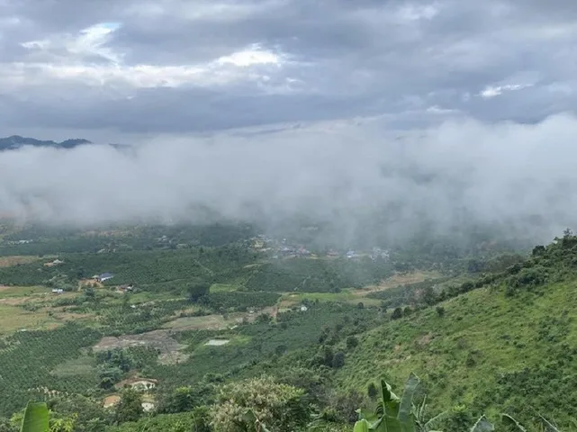 [BỎ PHỐ VỀ RỪNG] ĐẤT VIEW ĐỒI NÚI TRIỆU ĐÔ TẠI TÂN VĂN – LÂM HÀ!