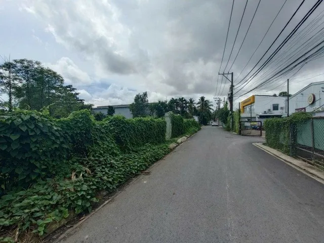 🔥 ĐẤT 2.608M² (40x66M) SÁT MẶT TIỀN LÃ XUÂN OAI – ĐỐI DIỆN ĐÔNG TĂNG LONG – CHỈ 15 TRIỆU/M² 🔥