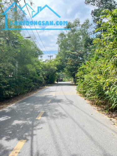 Nhà xưởng 1/ Nhuận Đức – 9.000m² – chỉ 88 tỷ – Nhuận Đức, Củ Chi