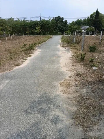 Cần bán đất 1 sẹc đường bà thiên, nhuận đức củ chi 99,1m2 có 80,1m2 thổ cư giá 950 triệu