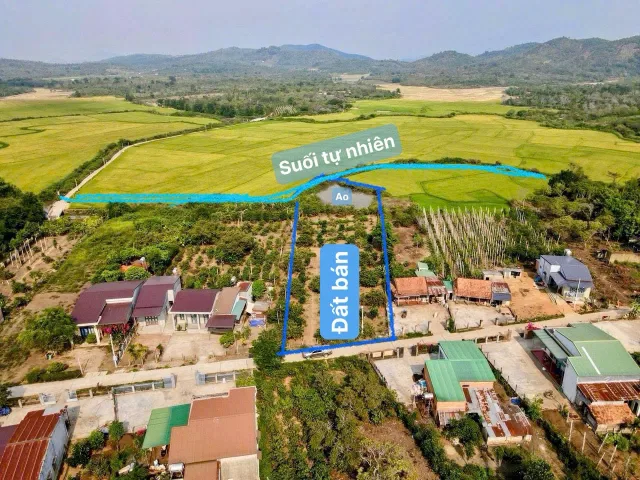 Cưkuin-Đắk Lắk dt 1210m2 sẵn 400m2 thổ cư mặt tiền bê tông 28m kdc giàu có view hồ và cánh đồng rất chill giá nhỉnh 1 tỷ