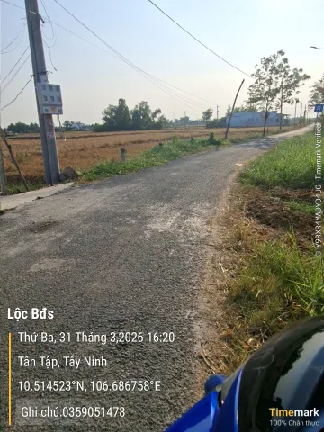 Bán đất lúa đường nhựa mặt tiền rộng 55m.