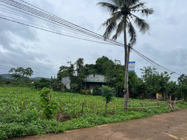 🌟 BÁN LÔ ĐẤT ĐẸP GIÁ TỐT – 5x21M, THỔ CƯ 60M² – CHỈ 7XX TRIỆU‼️ 🌟