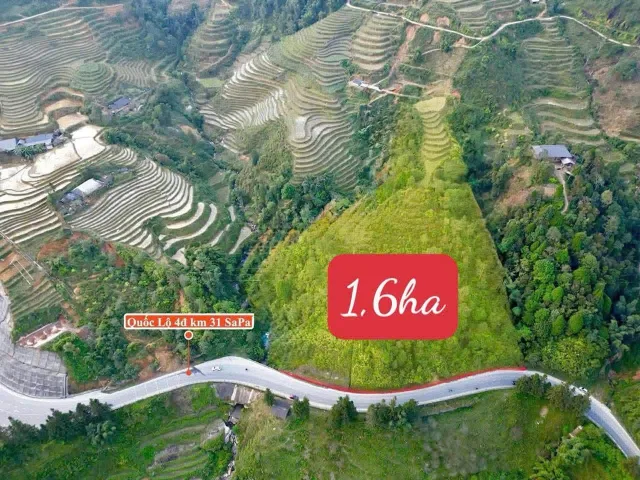 ⛰️ [TUYỆT TÁC NGHỈ DƯỠNG] SỞ HỮU 1,6HA ĐẤT MẶT ĐƯỜNG QL4D SA PA – VIEW PANORAMA RUỘNG BẬC THANG – QUY HOẠCH ĐẤT HỖN HỢP ( Thương mại dịch vụ, thổ cư)