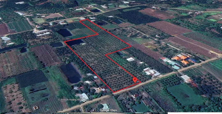 Bán vườn dừa tại Xuân Đông, Cẩm Mỹ giá chỉ 460tr/1000m2