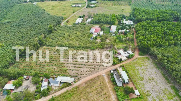 1200m2 sẵn 100m thổ cư,đường 19m. sổ sẵn