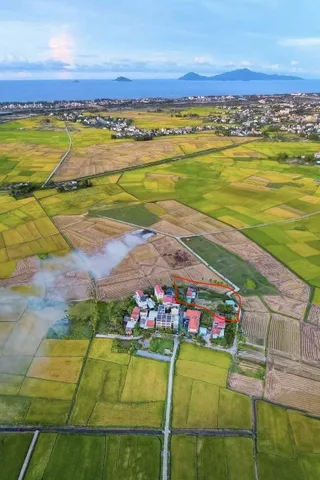 ❌ Bán mảnh 1650m2 ( ngang 50m ) - View Lúa đường Lý Thái Tổ, Hội An - Giá 35tr/m2