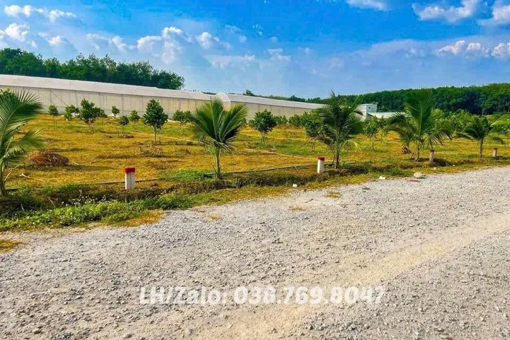 Chỉ 699 triệu sở hữu ngay lô đất 10x50m sát chợ, trường, dân đông ở Tp. Hồ Chí Minh