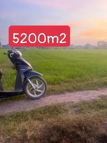 Nữa mẫu đất 1/ Nhựa Xóm Gò Đức Lập hạ 
- 5218m2 - 37x129
Giá chỉ 4ty thương lượng
Gần KCN ĐỨC HOÀ 3