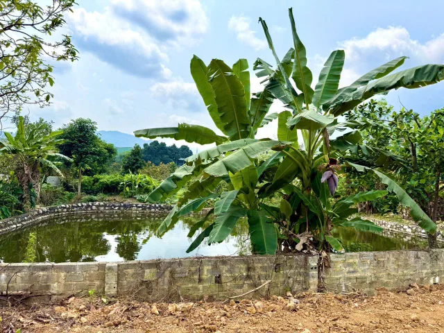 ĐẤT NGHỈ DƯỠNG KDL ĐỒI GIÓ, YÊN BÀI, HÀ NỘI