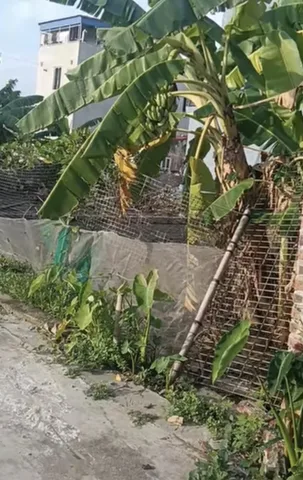Bán đất 75m2 Đông Hà Bắc Sơn An Dương Hải Phòng