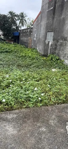 06.2026. bán 110m2 thiên hương. giá chỉ 1,5 tỷ. liên hệ 0362558882.