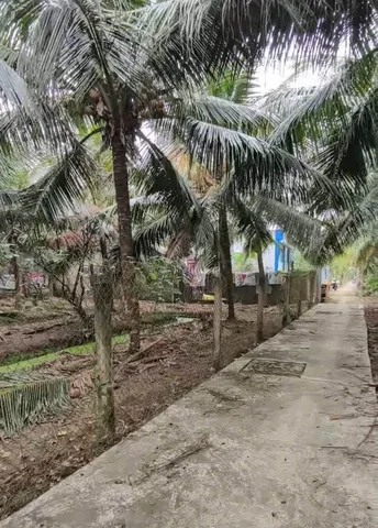 Đất vườn Tân Mỹ Chánh, Tp Mỹ Tho