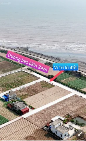 🔥 BÁN GẤP ĐẤT BIỂN QUẤT LÂM – 100M² – MẶT TIỀN 8M – GIÁ NGỘP CHỈ 1,4 TỶ – ĐẦU TƯ SINH LỜI