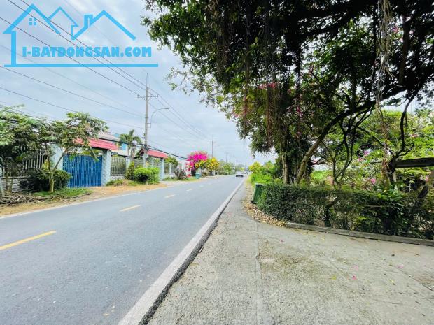 MẶT TIỀN KINH DOANH NGUYỄN THỊ RÀNH --803M2--100M2 THỔ CƯ --GIÁ CHỈ :16 TỶ (TL)