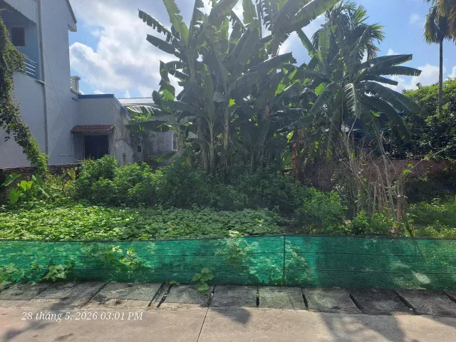 Lâm đông 74 m còn lại sau làm đường . Đường thông 5 m. L/h:076.231.9990 e Thúy