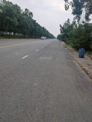 Bán lô đất thổ cư ngay mặt tiền KCN Bàu Bàng, TP. HCM, chỉ 2,670 tỷ, diện tích 150m2. Liên Hệ: 0559371035 gặp Bảo Ngọc