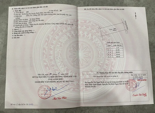 Nang 25m, dài 80m CLN. Đầu tư kinh doanh ổn định