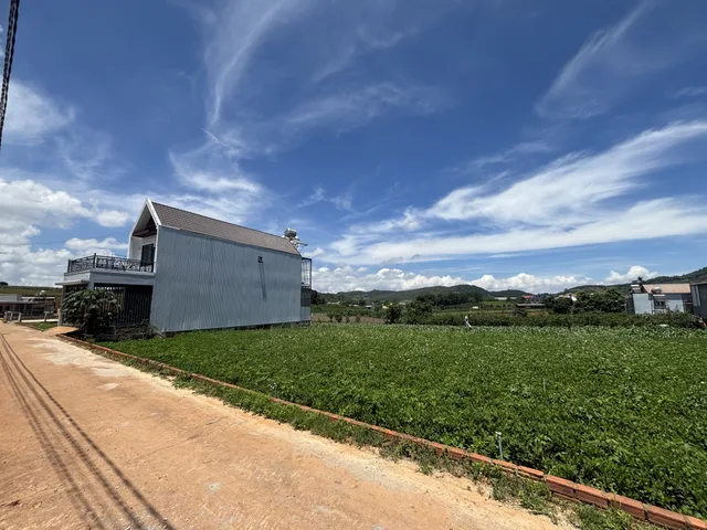 Bông lai, Xã Hiệp Thạnh. 117m2 thổ cư 980tr