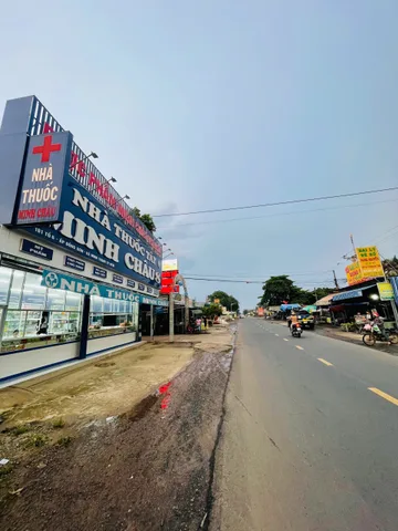 Gấp Bể Nợ cần Ra nhanh ngang 10x50 5000m2 có 200m2 thổ cư gần ngay chợ và trường học Minh thạnh