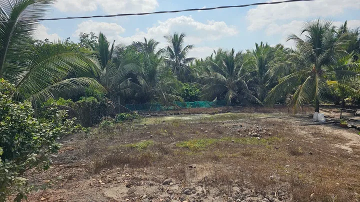 🏡 2tỷ SỞ HỮU NGAY 332,2m² ĐẤT THỔ CƯ SỔ RIÊNG – CHỢ GẠO, TIỀN GIANG