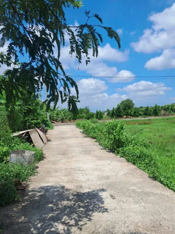 6x28 80tc đá bạc giá 850 triệu
