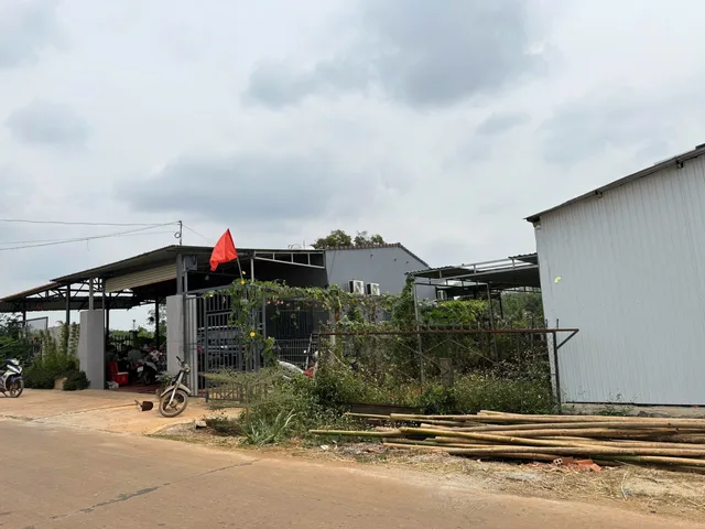 🐌 BA MẸ CẦN BÁN ĐẤT DO KHÔNG TIẾP TỤC NUÔI ỐC 🐌🐌
