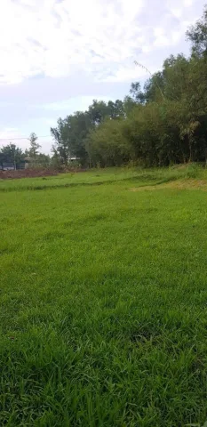 🔥BÁN NHÀ VƯỜN XÃ THÁI MỸ, CỦ CHI.2248m2, CÓ NHÀ CẤP 4 KIÊN CỐ