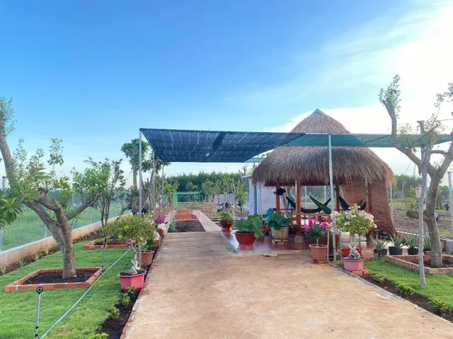 BÁN HƠN 1.000M² TẠI ĐẤT ĐỎ CÓ SẴN THỔ CƯ – VƯỜN CÂY – CHÒI NGHỈ MÁT GIÁ 2.5 TỶ