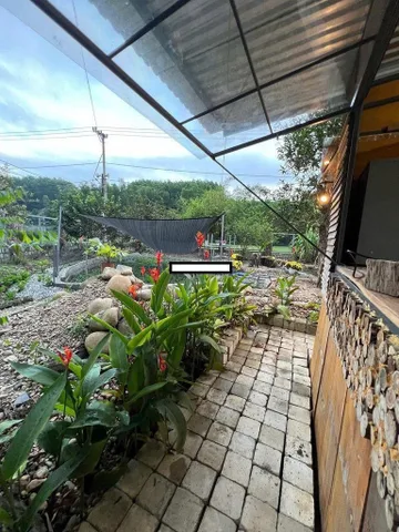 Nhà vườn Hòa Phú 500m² 📌📌📌LÀM VIỆC TRỰC TIẾP GIÁ TỐT !!!