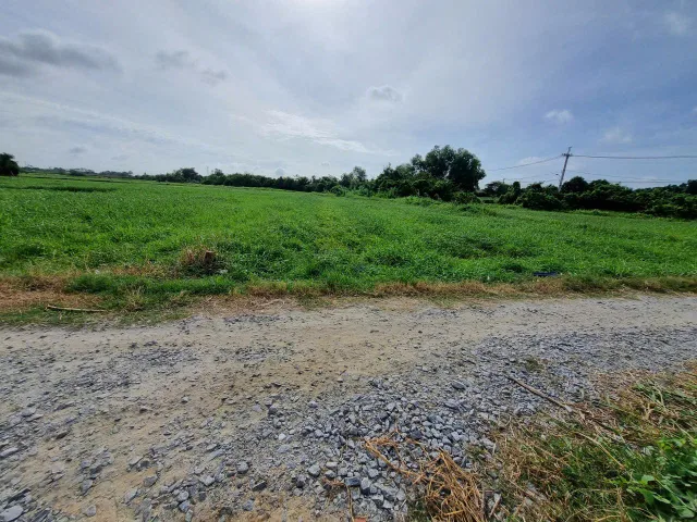 (L435) Đất xã Phước Thạnh, dt 1.052m2, thổ cư 300m2, giá 3 tỷ 700