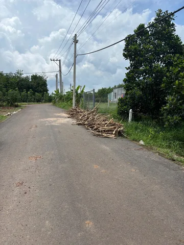 Chủ còn 1 lô duy nhất vườn mít thái 5 năm đang thu hoạch xã Phước Thành Hồ Chí Minh 
Giá 690tr bao sổ bao ngân hàng công chứng