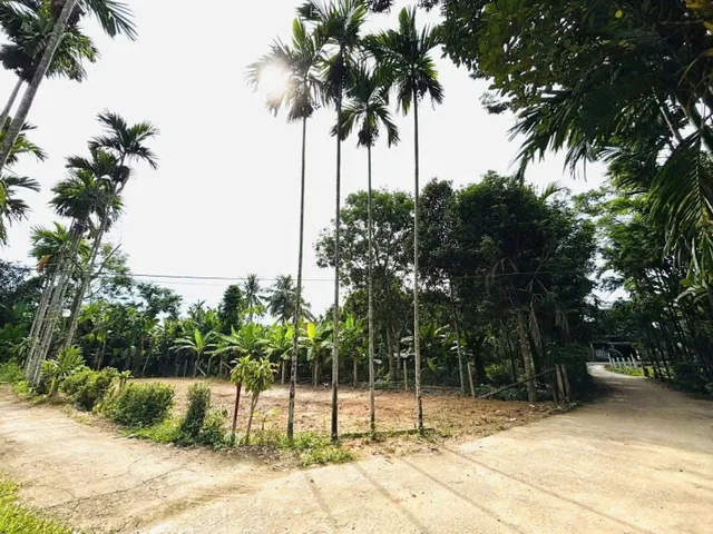 Đất vườn 2MT Diêu Phong 📌📌📌LÀM VIỆC TRỰC TIẾP GIÁ TỐT