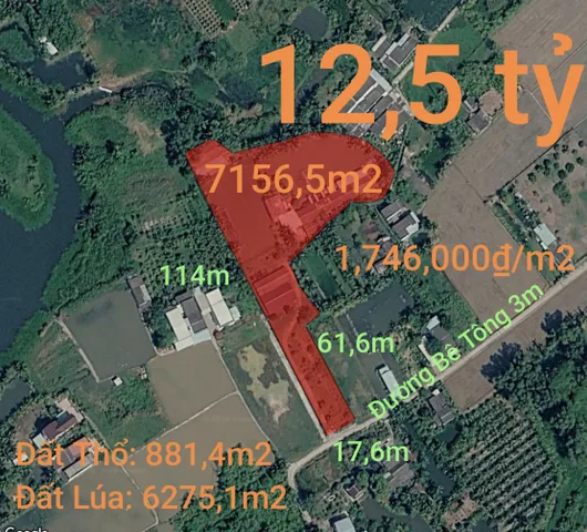 Bán nhà vườn gần Khu Công Nghiệp Ăn Nhựt Tân giá 12,5 tỷ