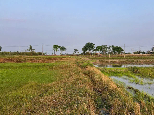 (S554) Đất xã Phước Thạnh, dt 1.272m2, giá 850tr