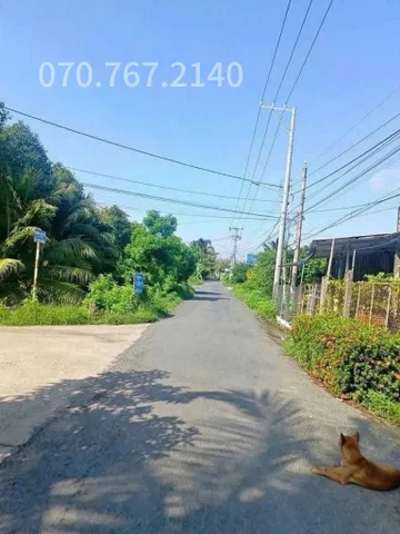 CHÚ 2 CẦN BÁN GẤP NHÀ VƯỜN, CÂY TRÁI