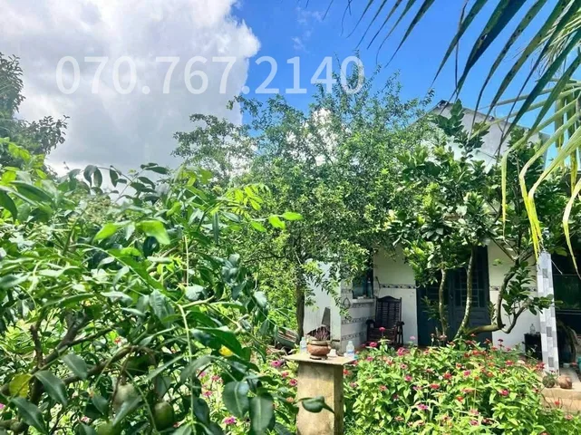 CHÚ 2 CẦN BÁN GẤP NHÀ VƯỜN, CÂY TRÁI