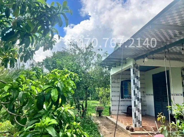 CHÚ 2 CẦN BÁN GẤP NHÀ VƯỜN, CÂY TRÁI