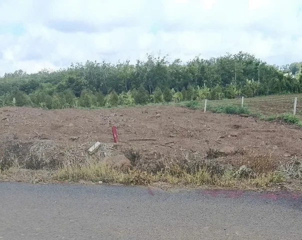 Bán lô đất sào cạnh KCN - 1.100m2