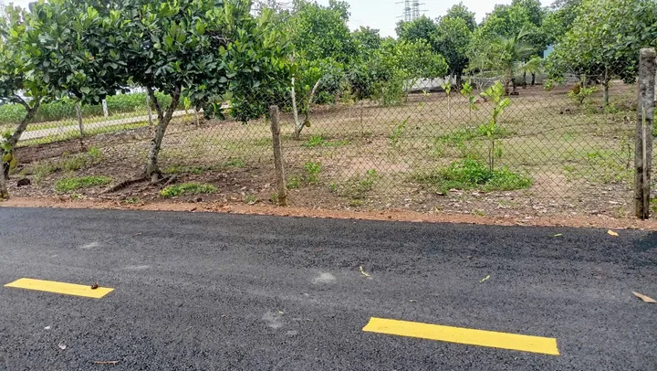 🔥 ĐẤT BÀU BÀNG CHỈ 445 TRIỆU 🔥
Cần bán nhanh nền đất vị trí đẹp tại Bàu Bàng.