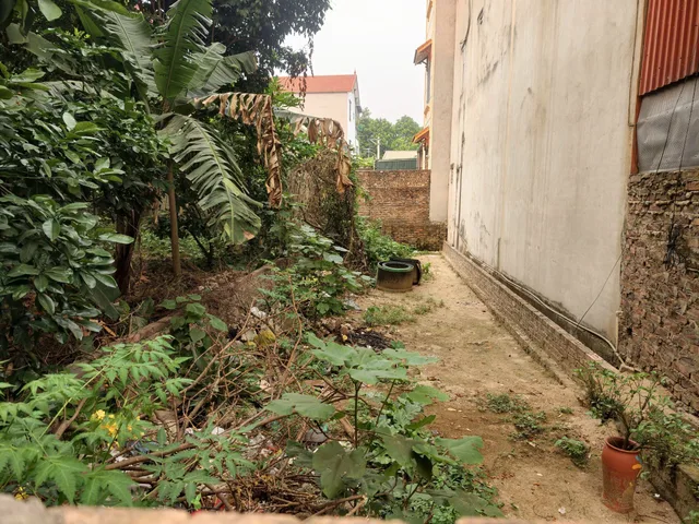 Cần bán đất tại thôn Đông Ngàn, xã Đông Hội cũ; Diện tích 73,5m2 vuông vức, vị trí đẹp. Khu dân cư sinh sống đông đúc phù hợp gia đình ở lâu dài, tích sản cũng rất ok.