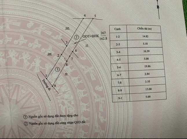 ✅Cần Bán Lô Hẽm Nguyễn Tri Phương