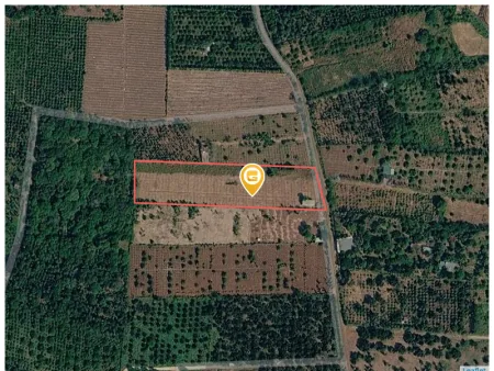 Bán đất 50000m² ngang 30m giá 2.7 tỷ tại Xã Hòa Phú