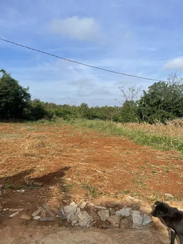 🔥 SIÊU PHẨM ĐẤT TRUNG TÂM THỊ TRẤN PHƯỚC AN 🔥